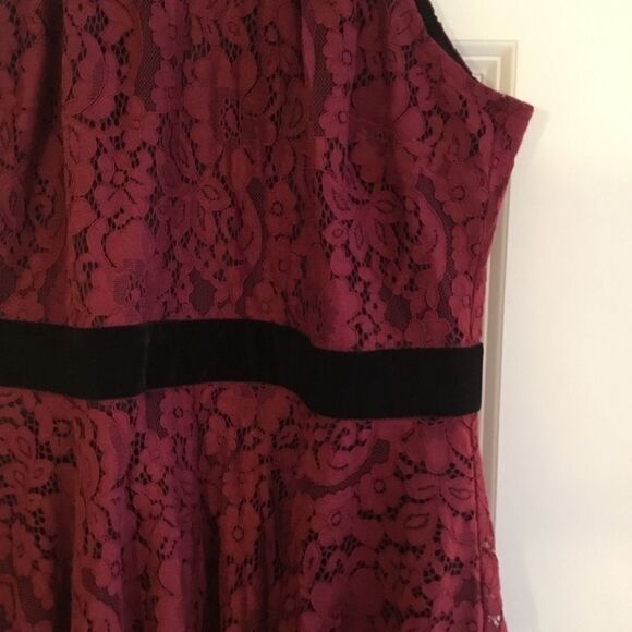 NWT Thalia Sodi Chain Neck Lace Dress Sz Small - Picture 5 of 11